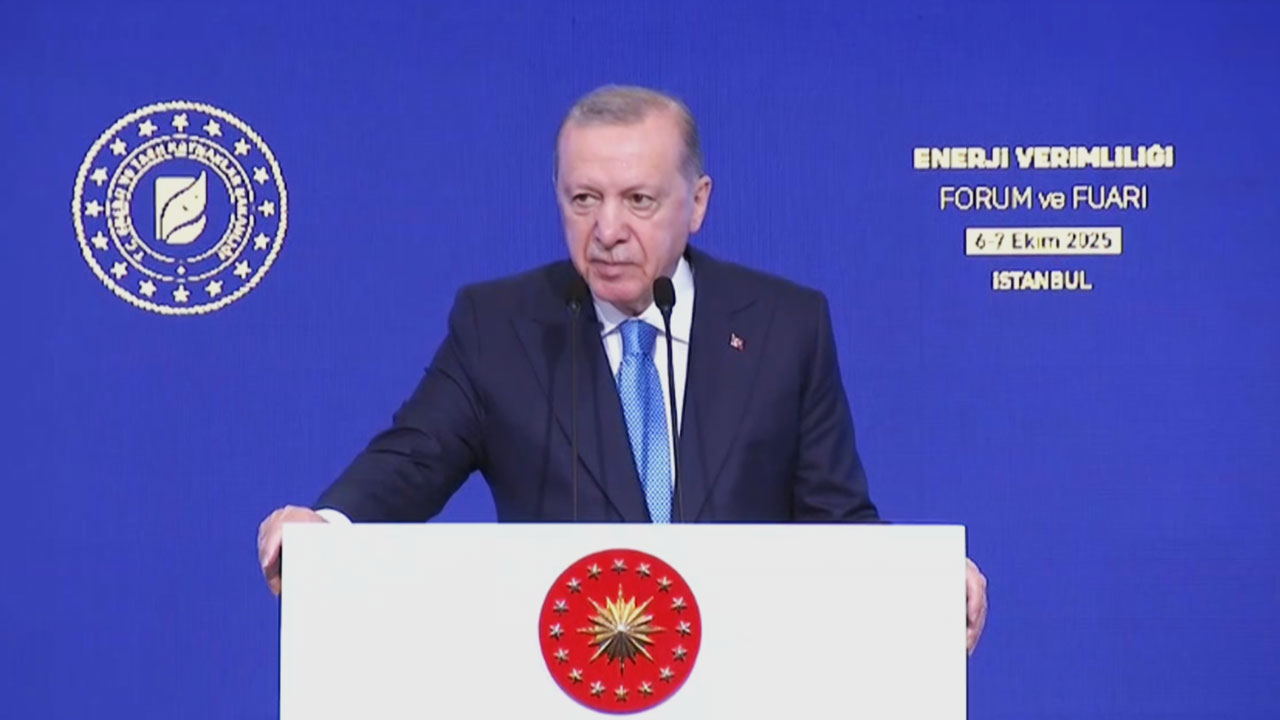 Cumhurbaşkanı Erdoğan: Uluslararası piyasalardan doğal gaz almak, bakkaldan gazoz almaya benzemez
