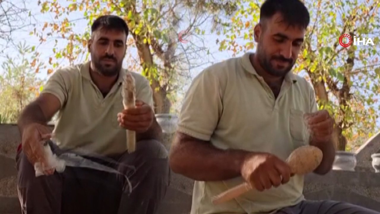 Mezarlıklardan çıkanlar hayrete düşürdü: Tek tek imha etti!