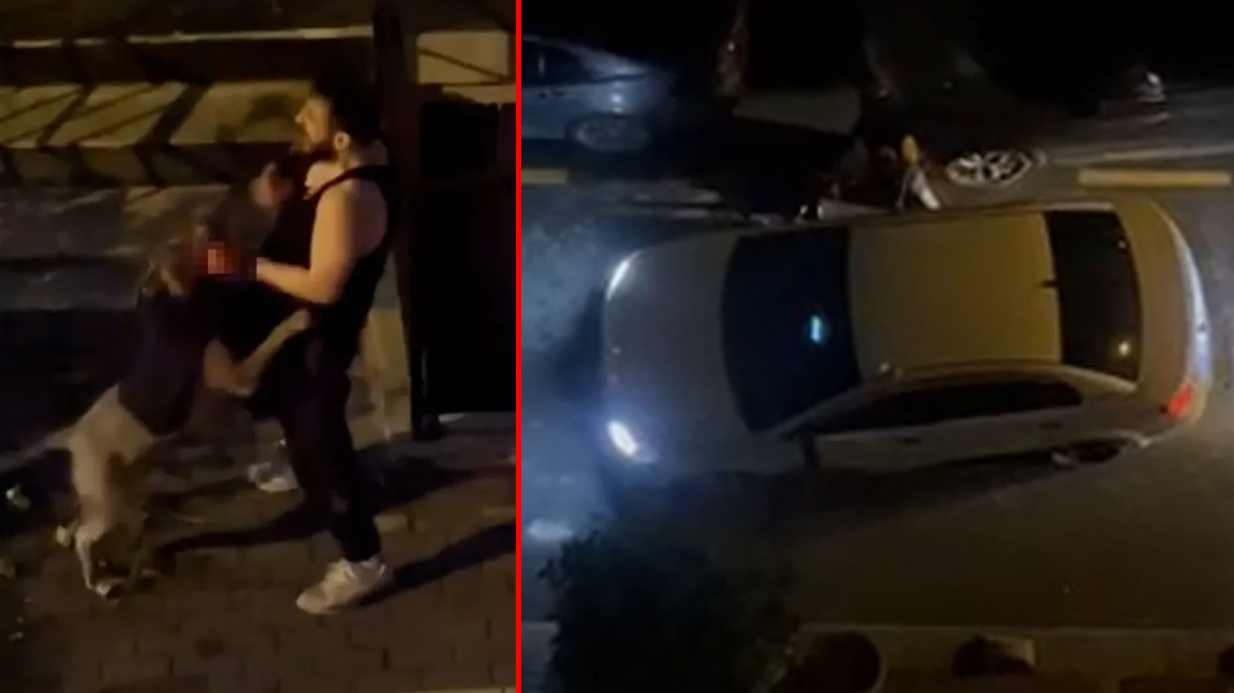 İstanbul’da pitbull dehşeti: Kendi sahibine saldırdı, kanlar içinde bıraktı