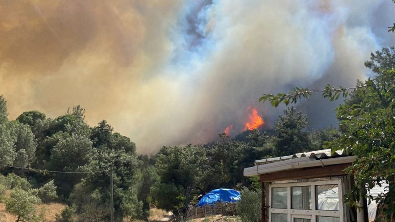 Çanakkale'de orman yangınından kalma ceset bulundu!