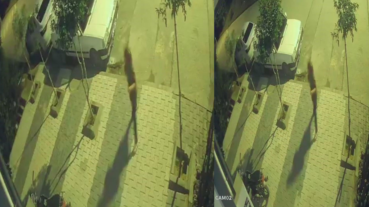 Arnavutköy'de facia kıl payı atlatıldı: Freni patlayan araç, çocukların arasına daldı