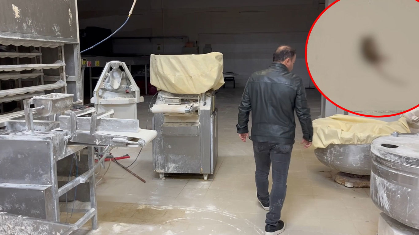 Halk ekmek fabrikasında fare iddiasına gece yarısı baskını: İnceleme yapıldı