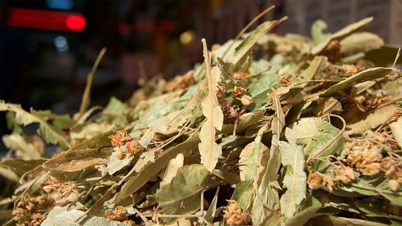 Soğuyan havalar ıhlamur satışlarını patlattı: Kilosu 3 bin liraya satılan ıhlamur 5 bin lira olabilir!