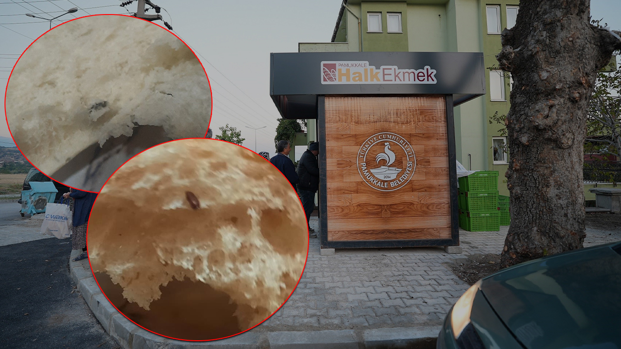 Fareli ekmek faciası: İkinci seferde un kurdu çıktı! Yeni doğum yapan anne sütten kesildi