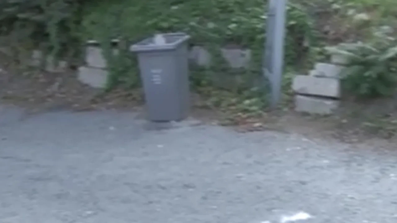 Eyüpsultan Mezarlığı’nda bomba paniği!