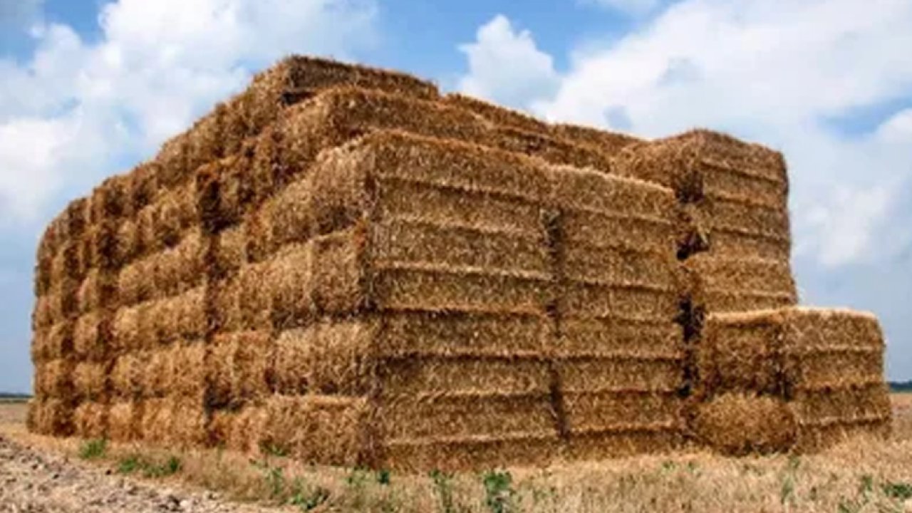 Saman balyası altında kalan çiftçinin feci ölümü!