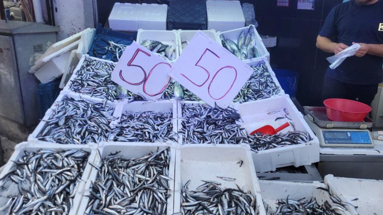 Hamsi bolluğu tezgahlara yansıdı: Kilosu 50 TL'ye kadar indi!