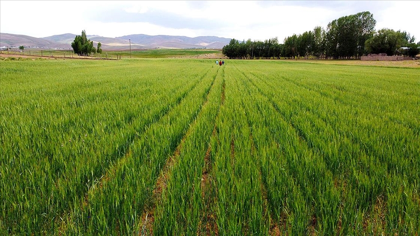 Sadece 73 bin TL’ye arsa fırsatı! Milli Emlak’tan devlet garantili imarlı arazi satışı başladı