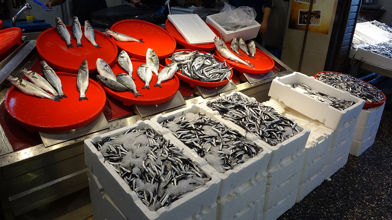 Balık sevenlere kötü haber: Palamut sezonu bu yıl başlamadan bitti