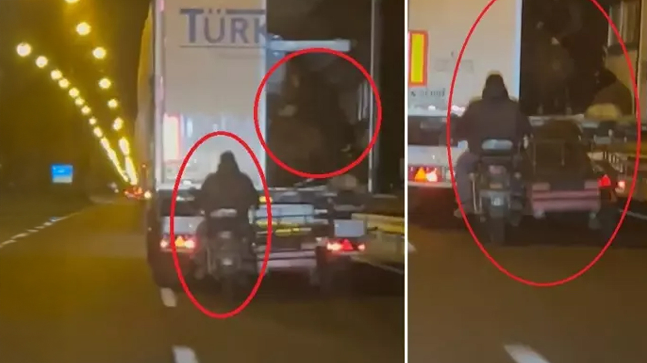 Hareket halindeki TIR’dan koyun çaldılar: Diyarbakır’da 'pes' dedirten hırsızlık