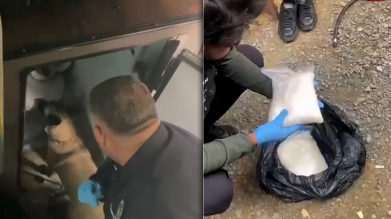 Narkotik köpeği 'Şila'dan saklayamadılar! Yolcu otobüsünü uyuşturucu sevkiyatı için kullanmışlar