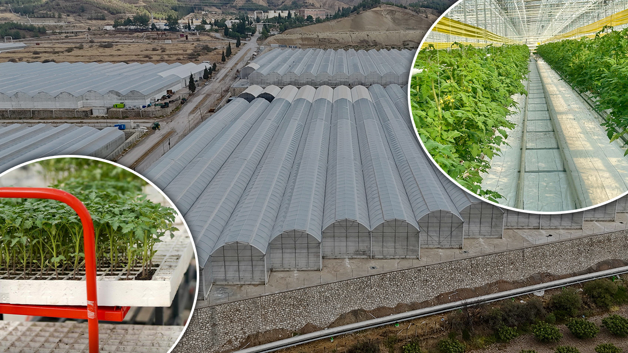 Denizli Sarayköy’de “akıllı sera” dönemi başladı: Sürdürülebilir tarımda inovasyon dönemi