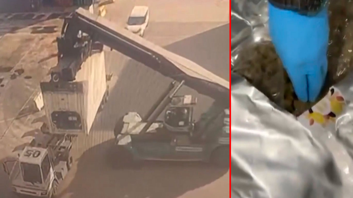 Derince Limanı’nda dev operasyon: 1,5 ton uyuşturucu ele geçirildi