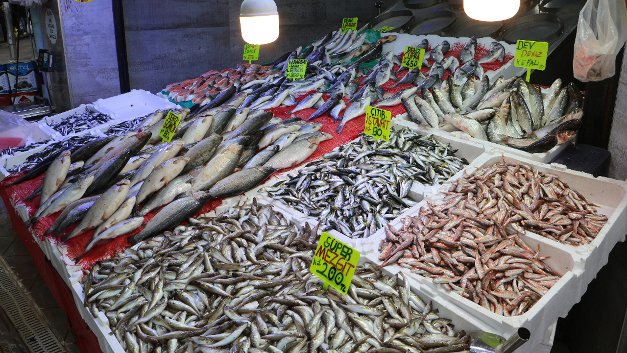 Küçük balık avcılığına Samsun’da rekor ceza: 10 ayda 2.5 milyon TL yaptırım