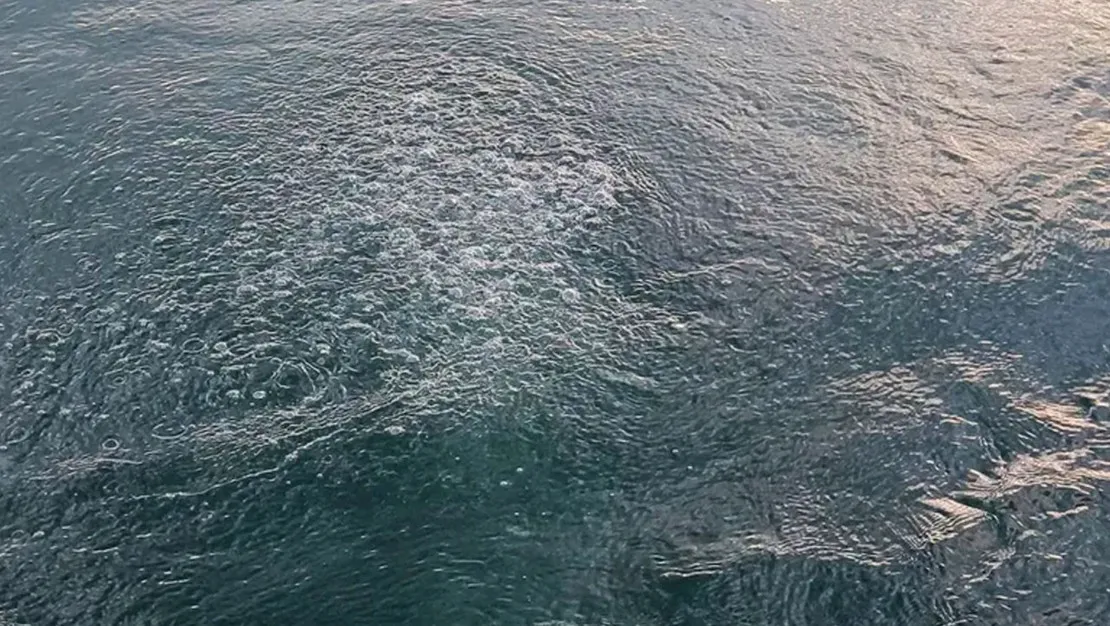 Sapanca Gölü’ndeki kabarcıklar panik yarattı: Depremin işareti mi? Uzmandan net açıklama