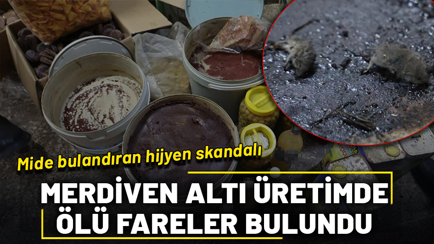 Kilis'te mide bulandıran hijyen skandalı: Merdiven altı üretimde ölü fareler bulundu