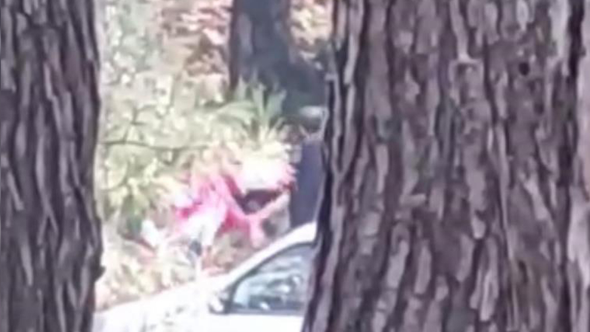 Kadına şiddet kameralarda! Ormanlık alanda darbedildi