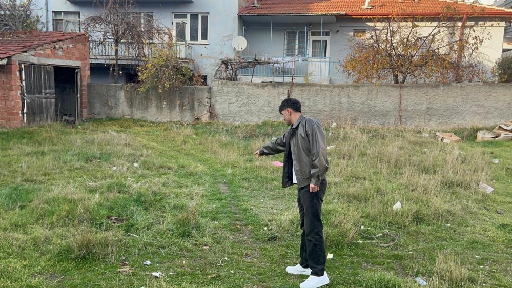 Eskişehir'de boş arsada 8 ölü kedi bulundu