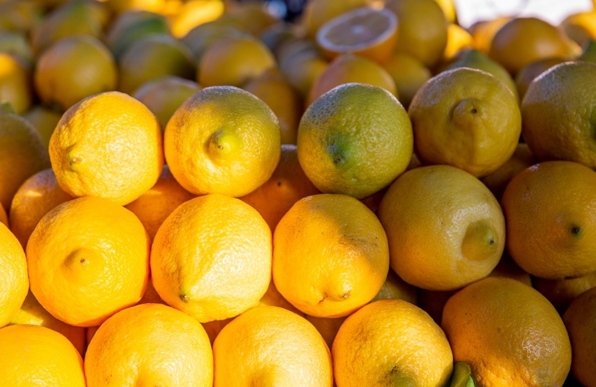 Pazardaki tüm ürünleri solladı! İstanbul’un zam şampiyonu limon oldu