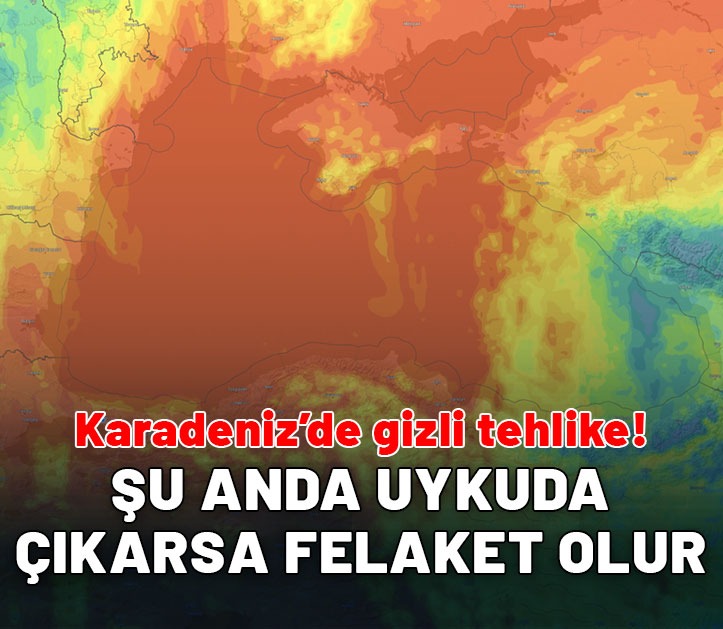 Karadeniz'de gizli felaket: Şu anda uykuda, çıkarsa felakete neden olabilir