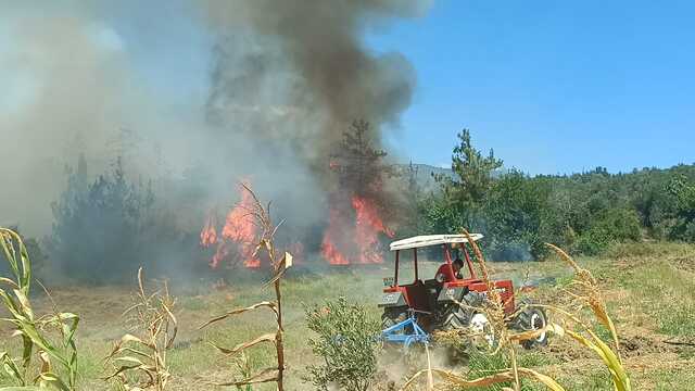 Adana'da orman yangını: Havadan ve karadan müdahaleyle kontrol altında