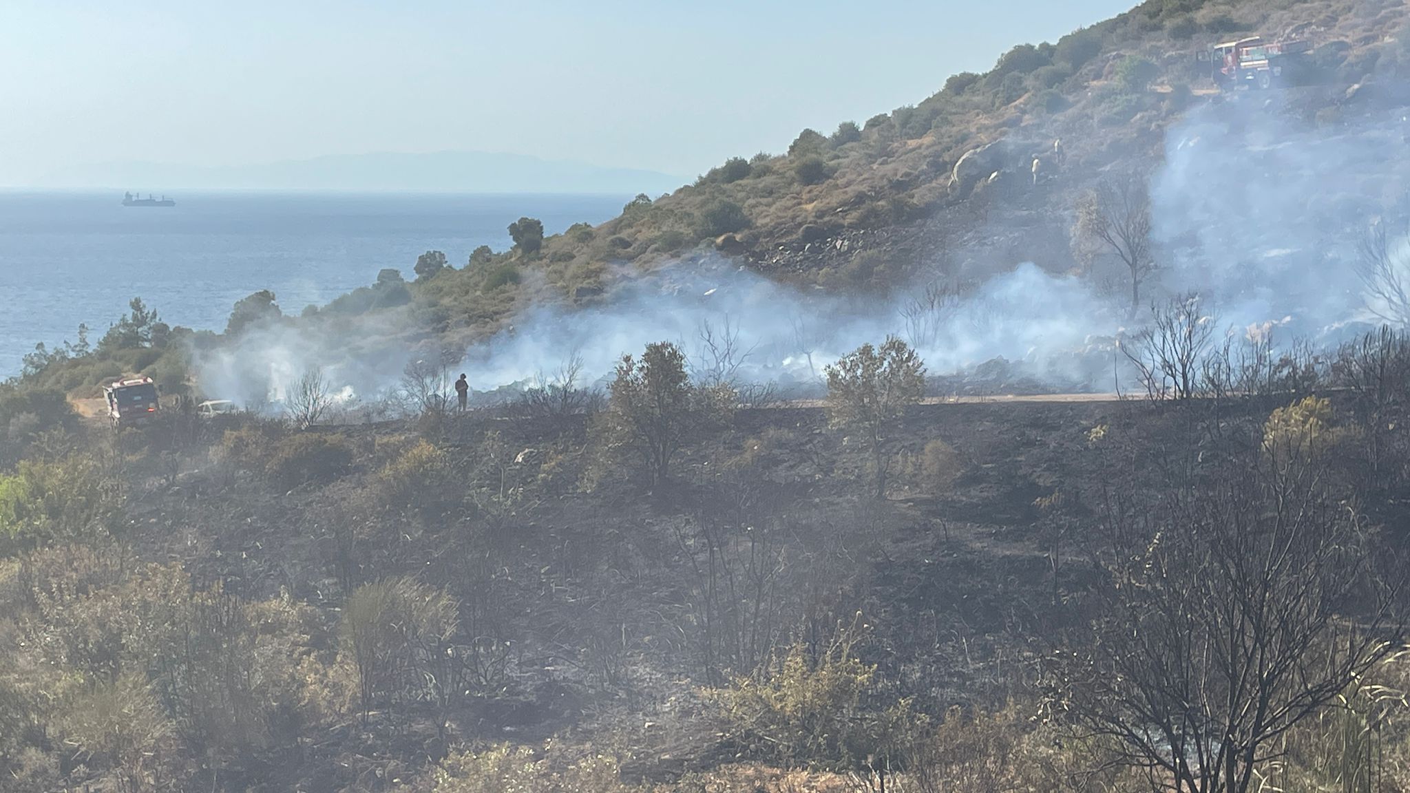 İzmir'de otomobilde çıkan yangın makilik alana sıçradı