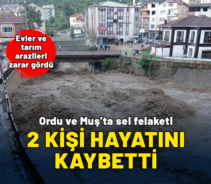 Ordu ve Muş'ta sel felaketi: 2 kişi hayatını kaybetti