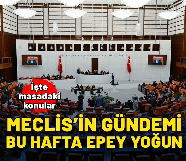 Meclis'in bu hafta gündemi epey yoğun! İşte masadaki konular