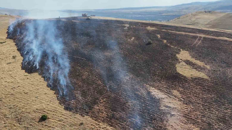 Mangal ateşi 3 bin dönüm araziyi küle çevirdi