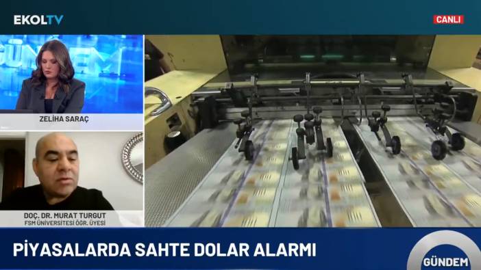 Sahte dolar nasıl ayırt edilir? Para sayma makineleri nasıl düzelecek? Uzman isim Ekol TV'de yanıtladı