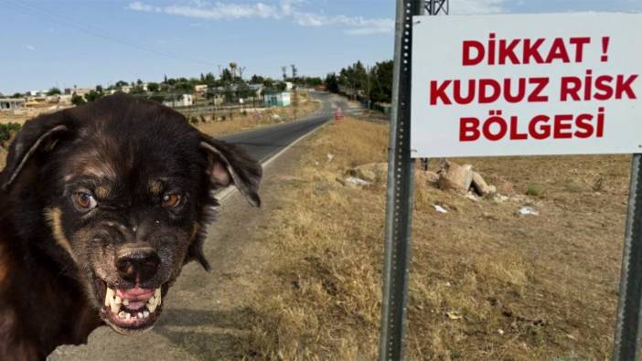 İki kişiyi ısırmıştı. Kuduz olduğu tespit edilen köpek nedeniyle bir mahalle riskli alan ilan edildi