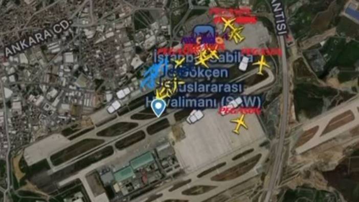 Sabiha Gökçen Havalimanı'nda tilki alarmı: Pilot apronda tilki görünce...