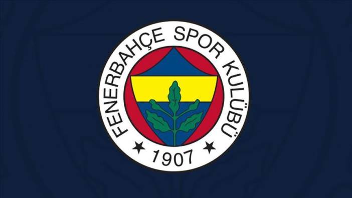 Fenerbahçe başvurmuştu, TFF o maçlara inceleme başlattı