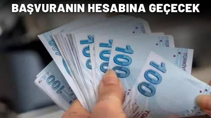 e-Devlet'ten başvuran vatandaşların hesabına anında geçecek: 5000 TL desteği almayı unutmayın!