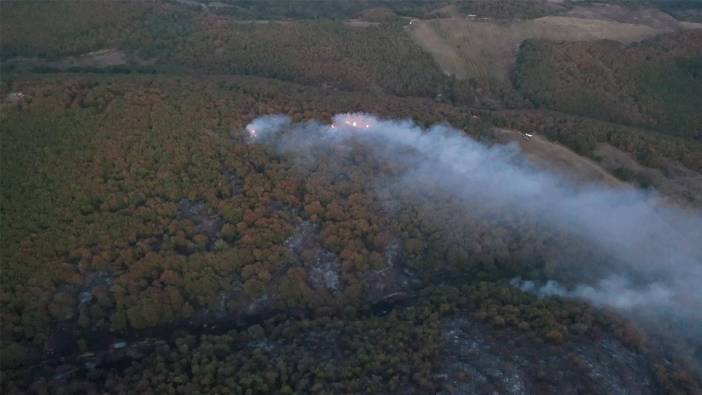 Kocaeli'nde ormanlık alanlara giriş yasaklandı