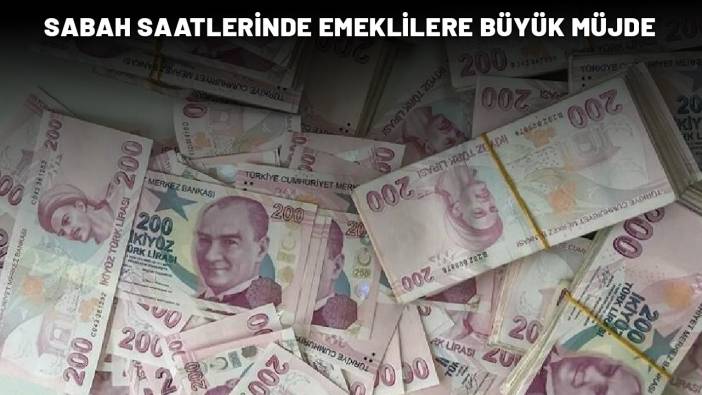 SABAH SAATLERİNDE EMEKLİLERE BÜYÜK MÜJDE: e-Devlet'ten başvuran 15.000 TL ödemeyi anında alacak!
