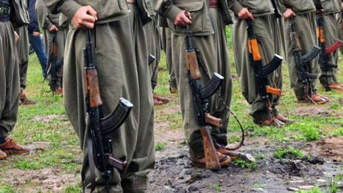 Fesih kararının ardından atılacak adımlar: Suça karışmamış örgüt üyeleri Türkiye'ye mi gelecek?