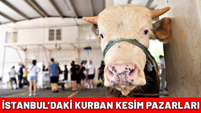 KURBAN KESİM YERLERİ 2025: İstanbul kurban satış ve kesim yerleri