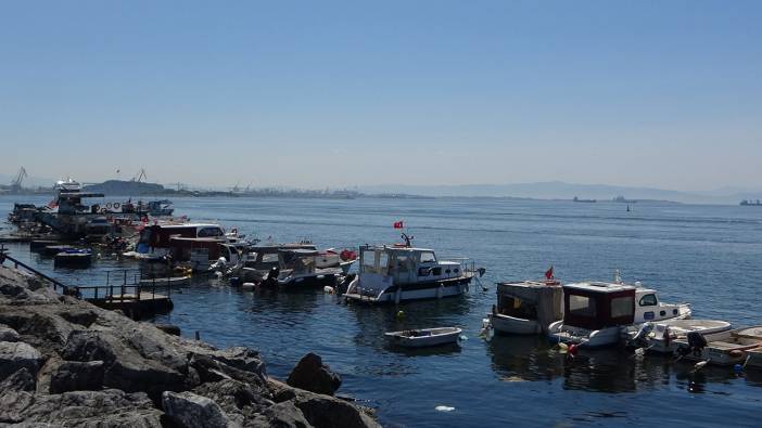 İstanbul Pendik'te balıkçılar şoke oldu: Oltasına köpekbalığı takıldı!