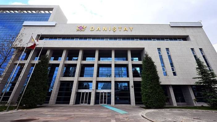 Sokak köpeği saldırısı ile ilgili Danıştay'dan emsal karar: Belediye sorumlu tutuldu, tazminat ödeyecek