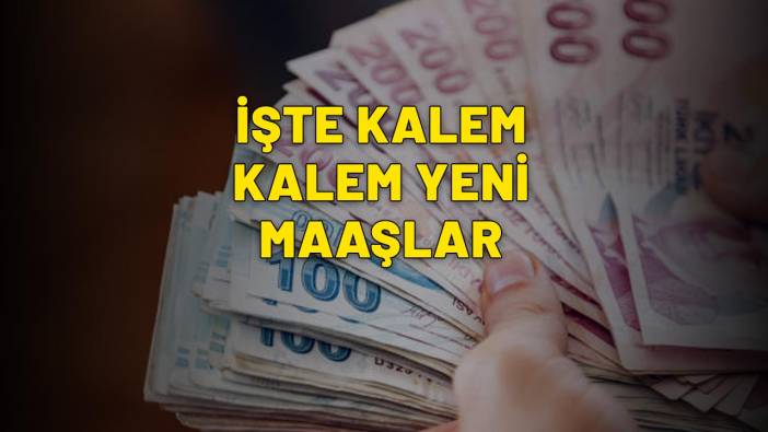 EMEKLİ VE MEMUR ZAMMI| 5 aylık enflasyon farkıyla maaş tablosu yeniden şekillendi! İşte kalem kalem yeni maaşlar...