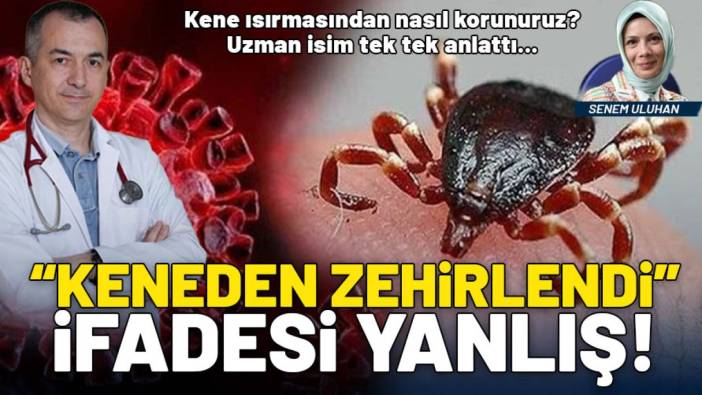 "Keneden zehirlendi" ifadesi yanlış! Kırım Kongo Kanamalı Ateşi hakkında bilinmeyenleri Prof. Dr. Bahadır Ceylan anlattı