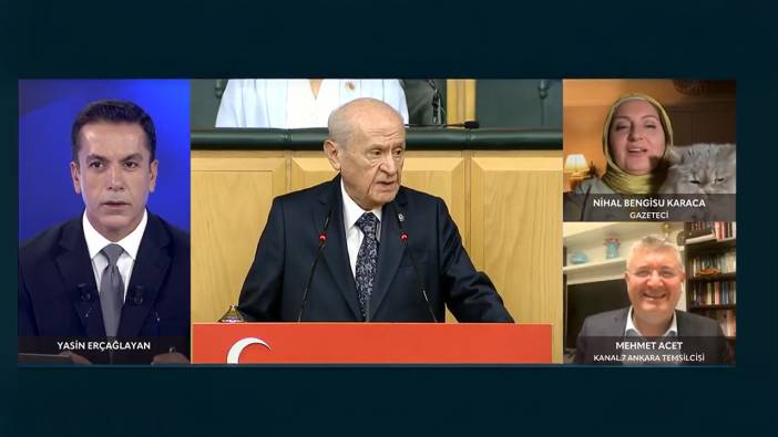 Canlı yayına kedi konuk oldu! Ekol TV ekranlarında gülümseten anlar...