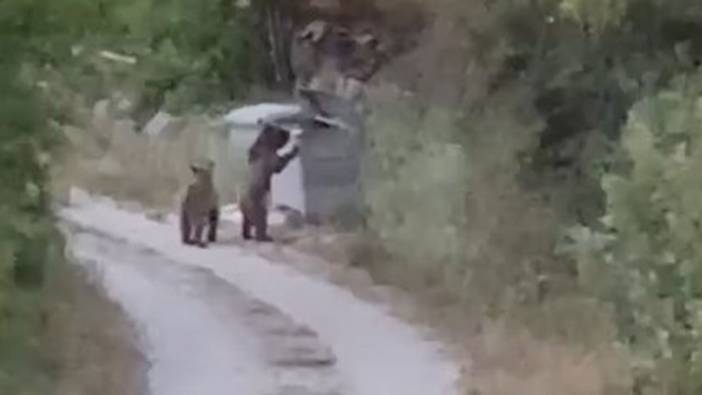 Köye inen ayıları "Gülümseyin çekiyorum" diyerek kaydetti
