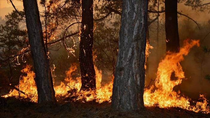 Eskişehir orman yangını son durum: 10 kişi hayatını kaybetti, havadan müdahale devam ediyor!