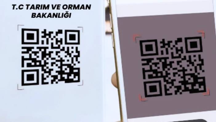 Tüketici dönemi resmen başladı! Tabağınızdaki yemeğin ne kadar güvenli olduğunu artık siz öğreneceksiniz