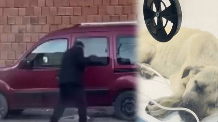 Yavru köpeğe vahşet: Sopayla dövdü, çocukların yalvarışına aldırmadı