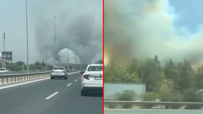 İzmir Bornova'da orman yangını!