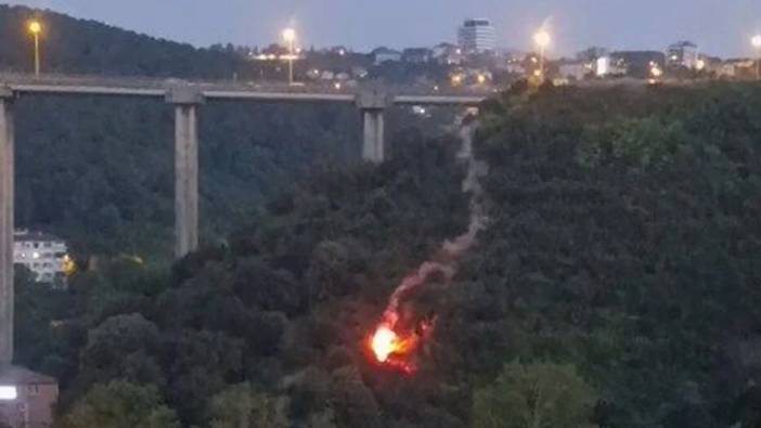 Beykoz'da işaret fişeğiyle yangın çıkarmıştı! Tutuklama talep edildi