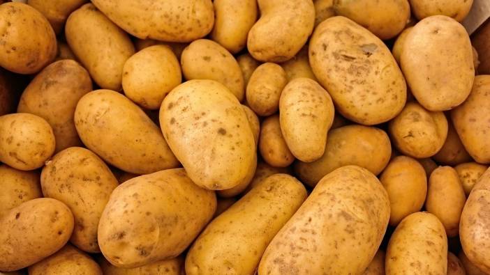 Patatesin kökeniyle ilgili bu keşif tarımı baştan yazabilir: Cevap domatesten geliyor: İşte o ilginç keşif